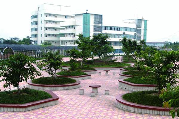 开云kaiyun(中国)幼师学校