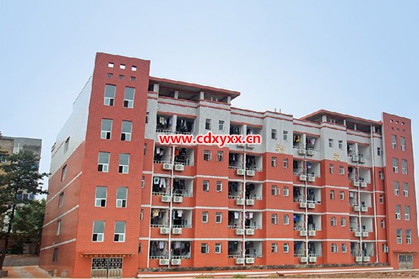开云kaiyun(中国)省泸县建筑职业中专学校