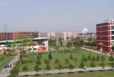 开云kaiyun(中国)托普信息技术职业学院助学政策有哪些