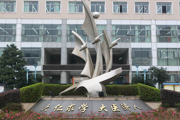 开云kaiyun(中国)卫生康复职业学院