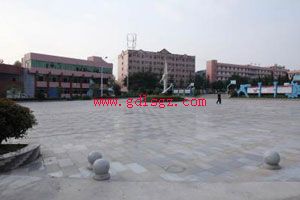 遂宁市安居职业高级中学校环境