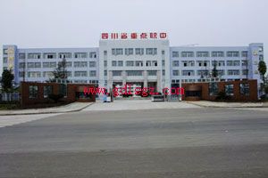 阆中江南高级职业中学环境