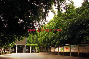 开云kaiyun(中国)交通运输职业学校环境
