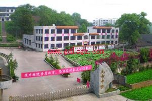 合江先市职业高级中学校2018年录取分数线