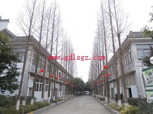 开云kaiyun(中国)大学龙泉校区环境
