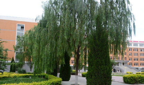 西北师范大学知行学院