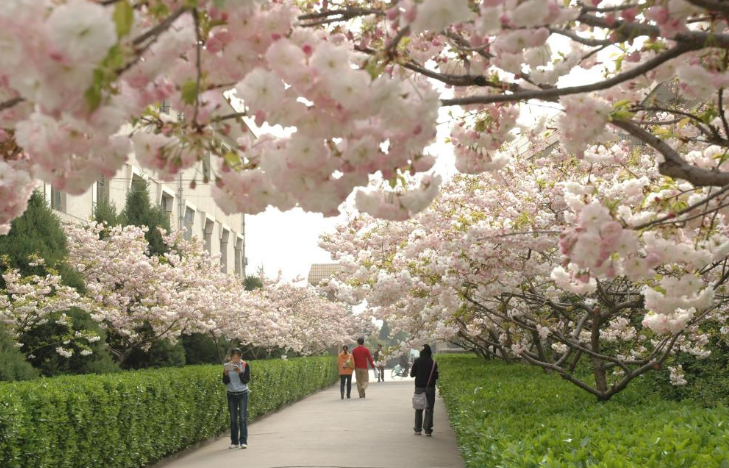 天水师范学院