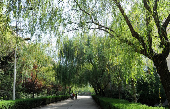 天水师范学院