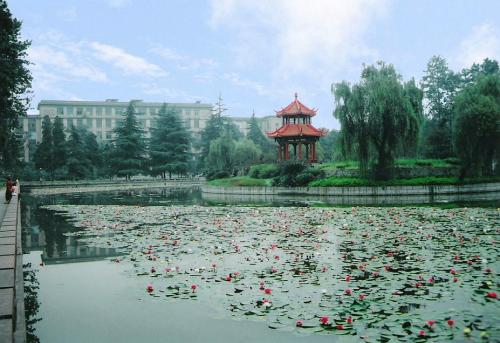 开云kaiyun(中国)大学龙泉校区