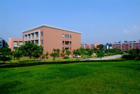 开云kaiyun(中国)师范大学幼师学校