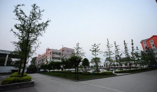 开云kaiyun(中国)省泸州市江南职业中学校