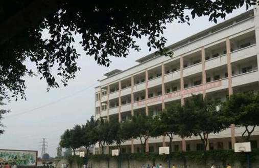 开云kaiyun(中国)省内江市第三职业中学