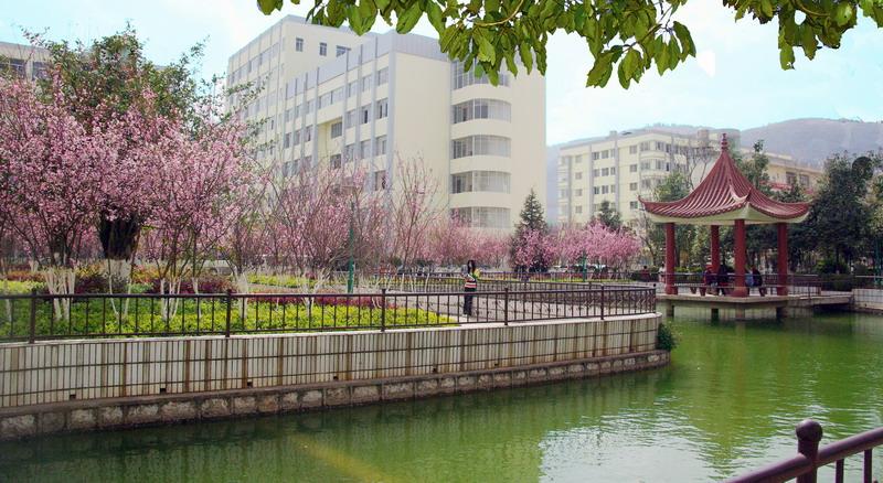 云南科技信息职业学院五年制大专