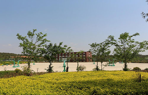 云南商务职业学院五年制大专