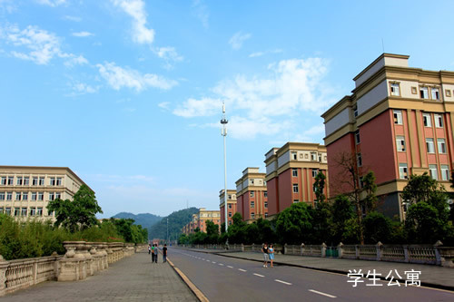 开云kaiyun(中国)文轩职业学院寝室、宿舍图片