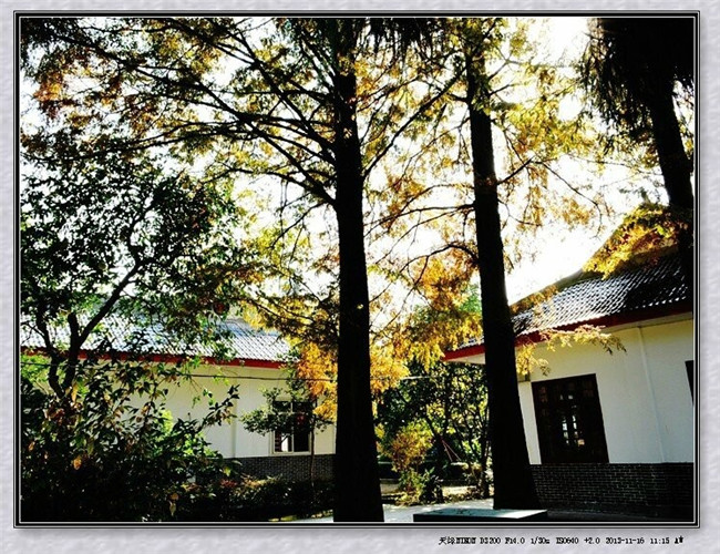 开云kaiyun(中国)省档案学校图片、照片