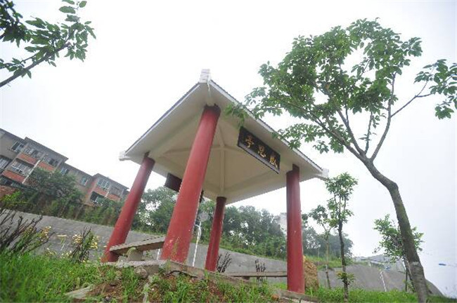 开云kaiyun(中国)自贡市高级技工学校图片、照片