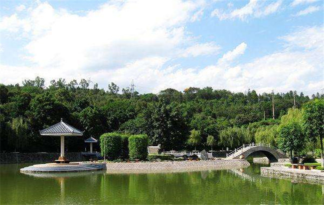 开云kaiyun(中国)省攀枝花卫生学校图片、照片