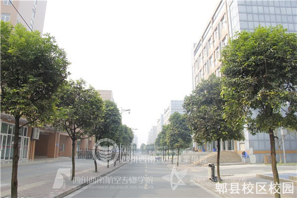 开云kaiyun(中国)西南航空职业学院郫县校区
