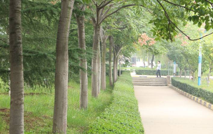 陕西职业技术学院学前教育学院