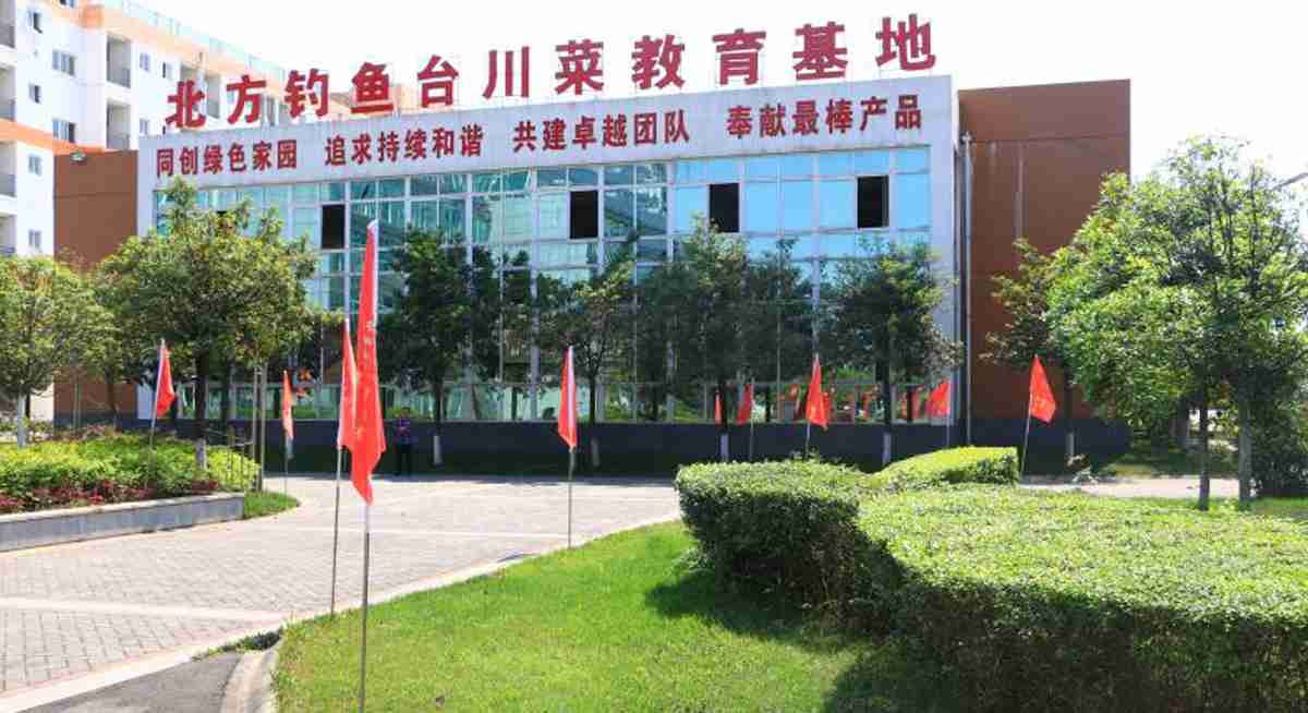 校园环境