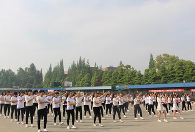 成都职业学校的地址在哪里