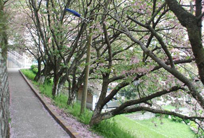 成都郫县铁路机电工程学校：如何选择好学校