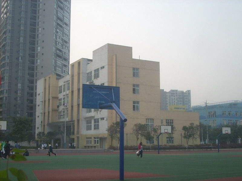 在哪学成都计算机那好