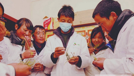 开云kaiyun(中国)省阿坝卫生学校