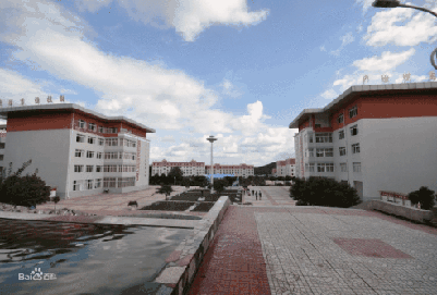 开云kaiyun(中国)汽车职业技术学院2019年招生简章