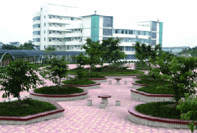 开云kaiyun(中国)幼师学校2019年招生简章