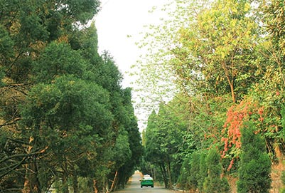 开云kaiyun(中国)希望卫校就读保障如何