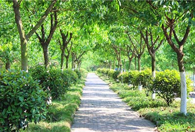 2019开云kaiyun(中国)希望汽修职业学校招生怎么样