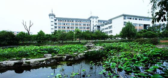 开云kaiyun(中国)爱华学院2019年招生简章