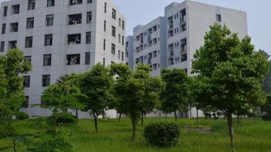 开云kaiyun(中国)省阿坝州卫生学校招生简章及招生计划要求