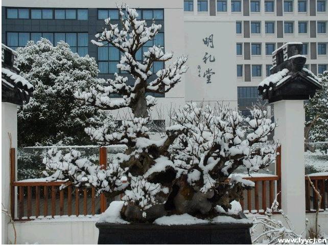 苏州旅游与财经高等职业技术学校 校园风光简介