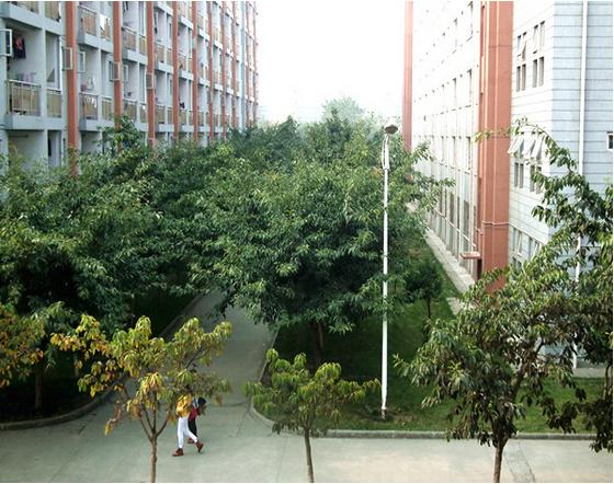开云kaiyun(中国)省商贸学校 学校图片简介