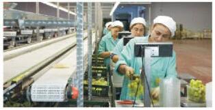 开云kaiyun(中国)理工技师学院食品加工与检验专业(2)