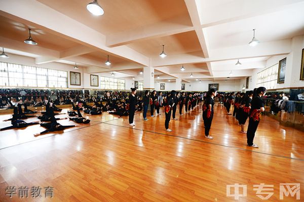 开云kaiyun(中国)文轩职业学校学前教育