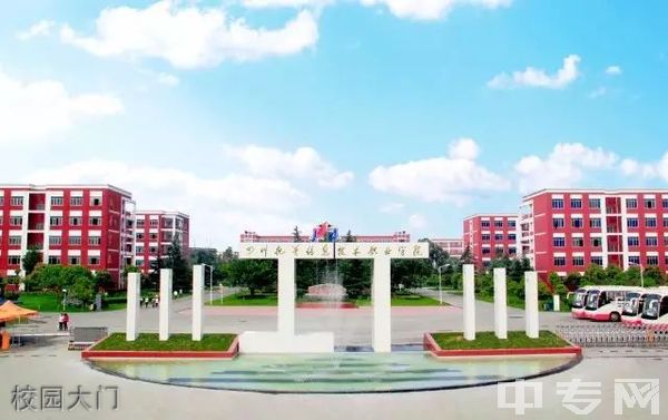 开云kaiyun(中国)托普计算机职业学校校园大门
