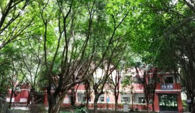 重庆药剂学校校园一角