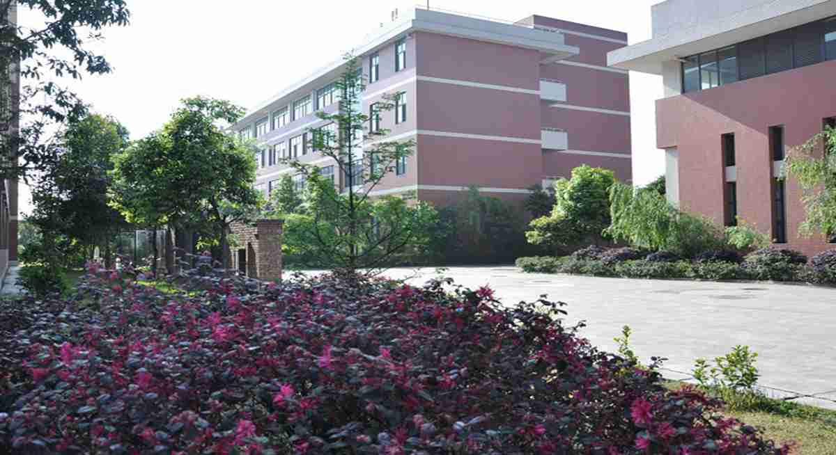 学校环境