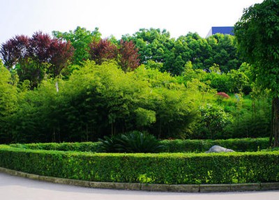 重庆江津职业学院学校风景