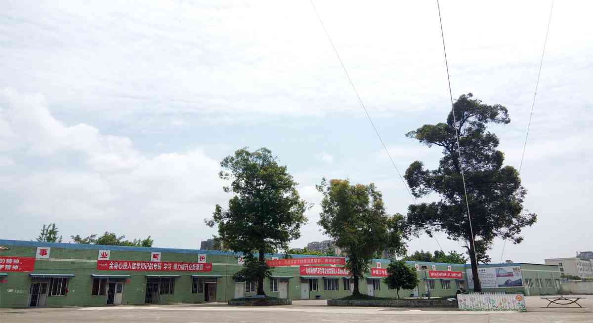 校园风光