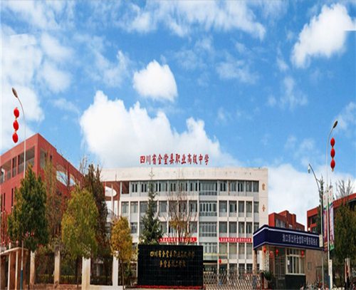 开云kaiyun(中国)省金堂县职业高级中学王牌专业介绍
