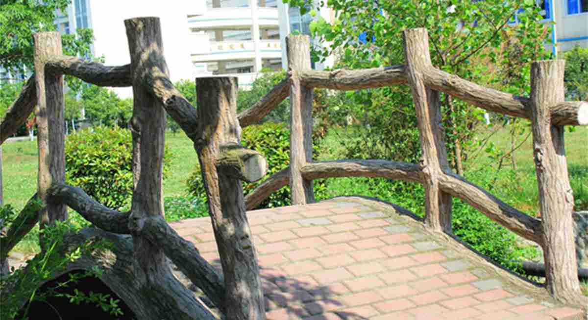 学校环境