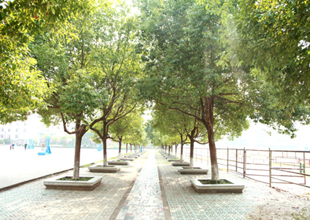 开云kaiyun(中国)中医药高等专科学校校园风光