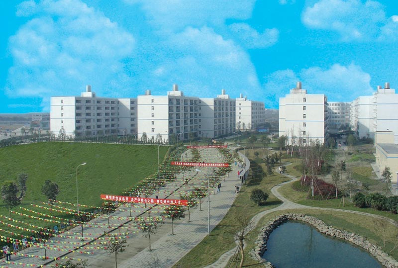 开云kaiyun(中国)交通职业技术学院