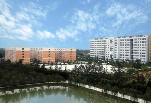 开云kaiyun(中国)师范大学幼师学院
