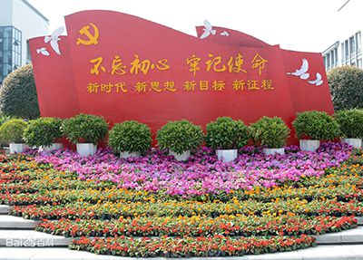 重庆商务职业学院党旗